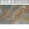 商品番号 10075 : OCHIAI KOJI 洋画