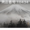 商品番号 10434 : SUGURU OTAKE 日本画