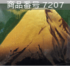 商品番号 7207 : IWAHASHI EIEN 木版画